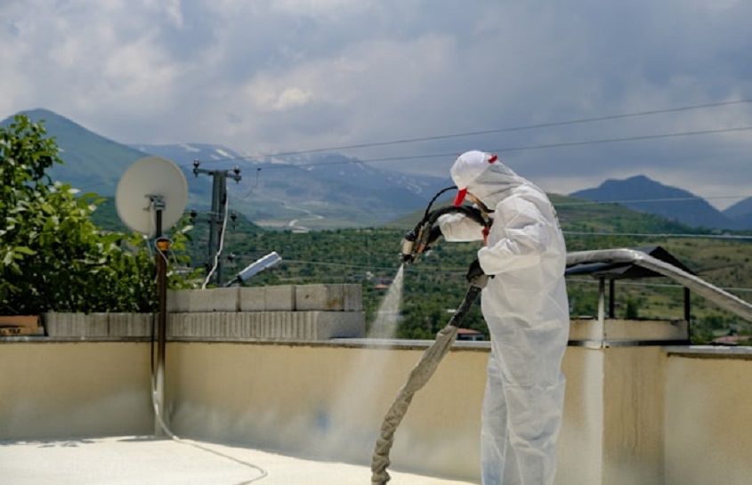 Roof Cleaning Near Me