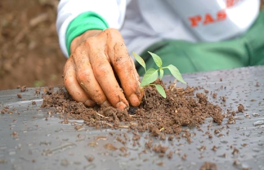 Moisture Test for Soil