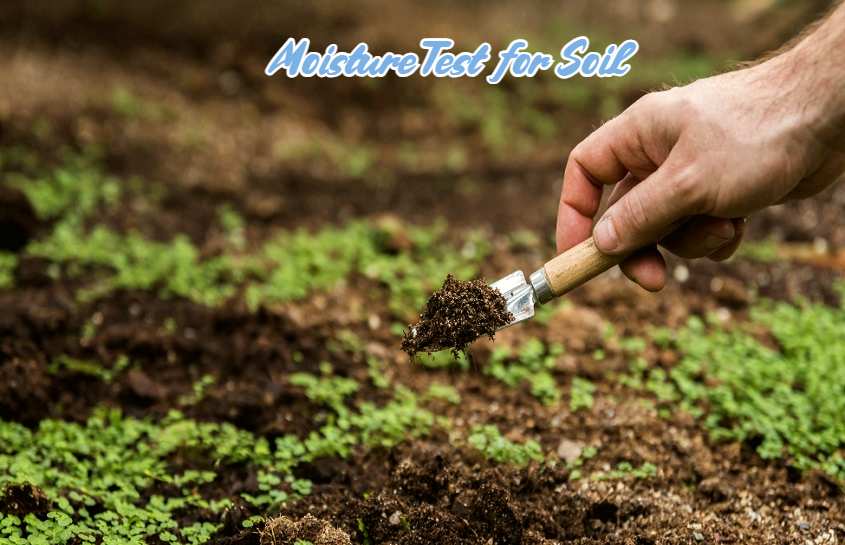 Moisture Test for Soil