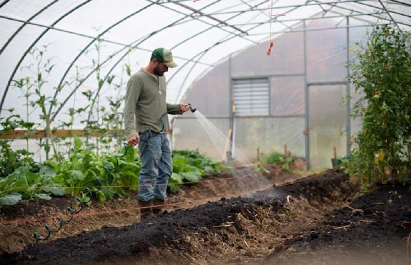 Moisture Test for Soil
