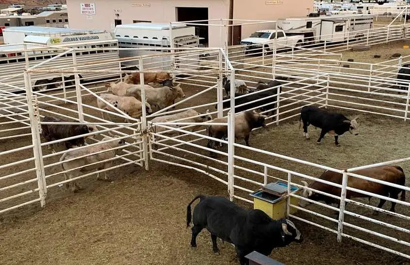 Corral Panels