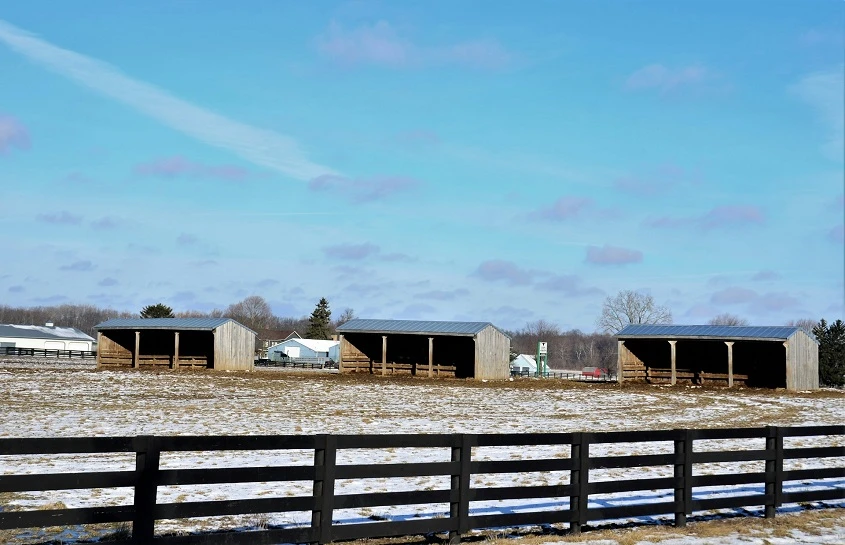 Corral Panels