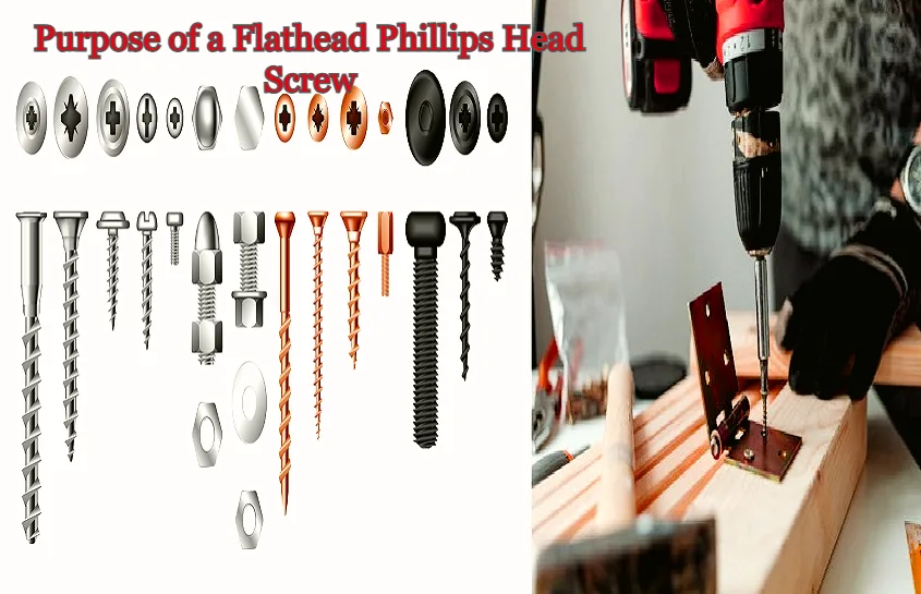 Phillips Head Screw
